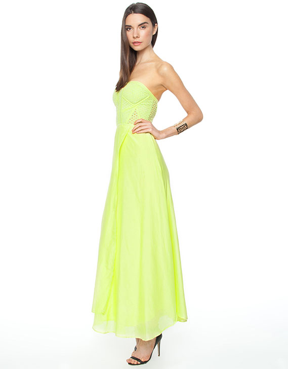 Suboo At Lake Tahoe Maxi Strapless Dress