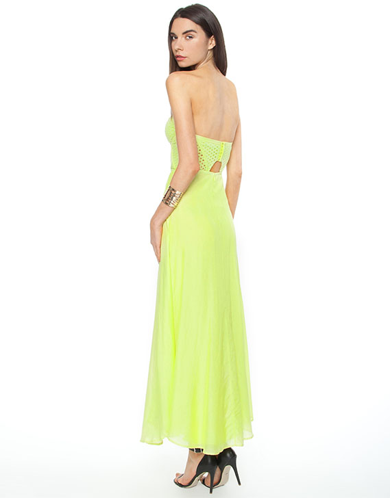 Suboo At Lake Tahoe Maxi Strapless Dress